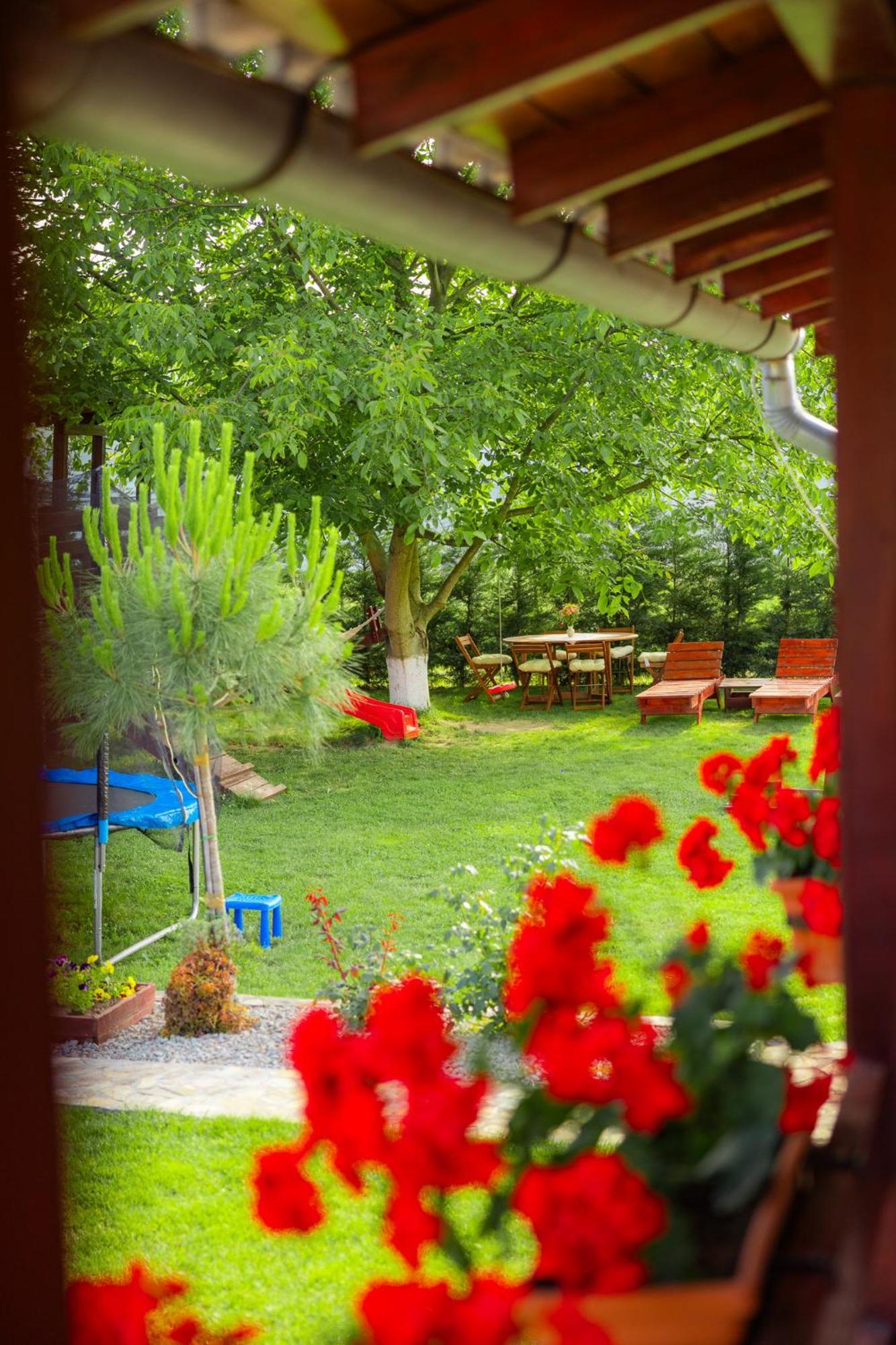 Pensiunea Regal Băile Unu Mai Exteriér fotografie